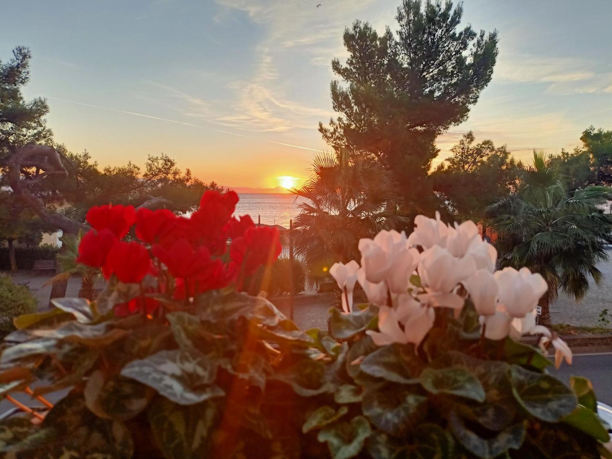 Hotel Serena Arenzano Εξωτερικό φωτογραφία